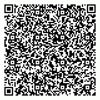 vCard 79295010033