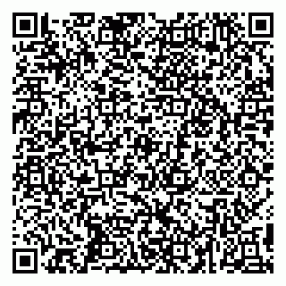 vCard 79295010035