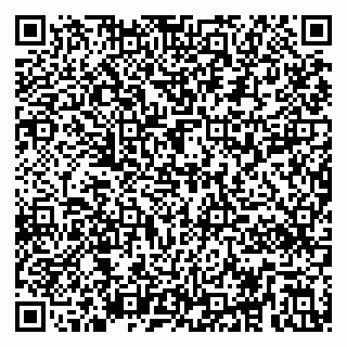 vCard 79295010080