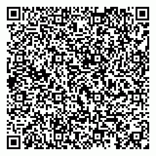 vCard 79295010147