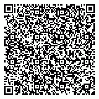 vCard 79295010237