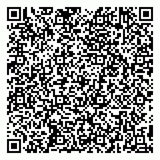 vCard 79295010303