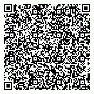 vCard 79295010318