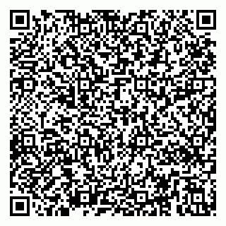 vCard 79295010347