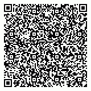 vCard 79295010389