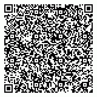 vCard 79295010403
