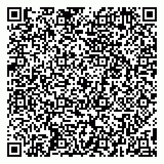 vCard 79295010409