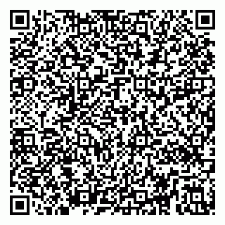 vCard 79295010901
