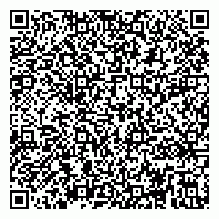 vCard 79295011503