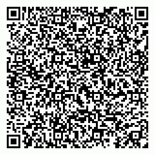 vCard 79295011900