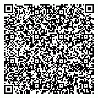 vCard 79295012010