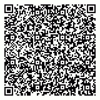 vCard 79295012602