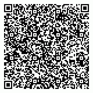 vCard 79295012802