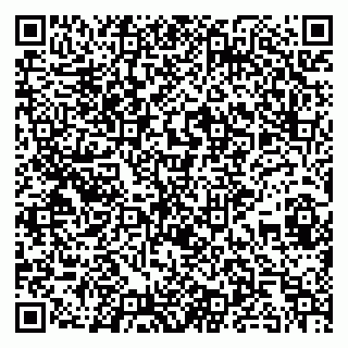 vCard 79295012803