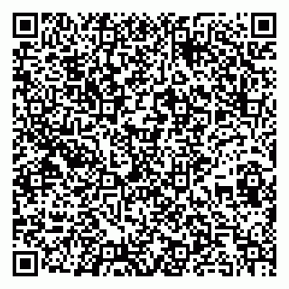 vCard 79295012902