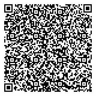 vCard 79295013003