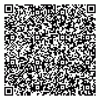 vCard 79295013147