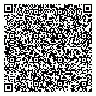 vCard 79295013151