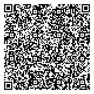 vCard 79295013169
