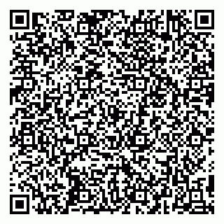 vCard 79295013203