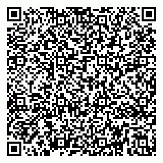 vCard 79295013205