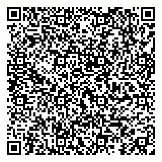 vCard 79295013206