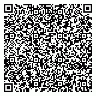 vCard 79295013231
