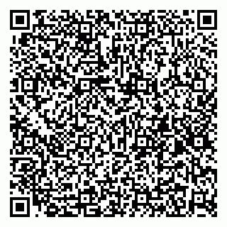 vCard 79295013239