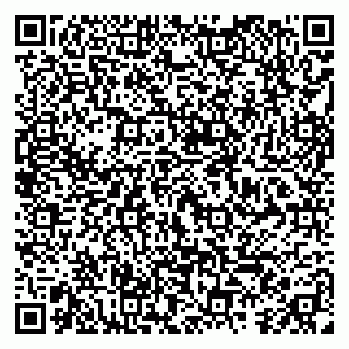 vCard 79295013293
