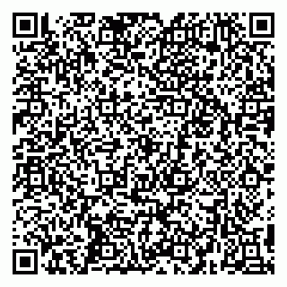 vCard 79295013294