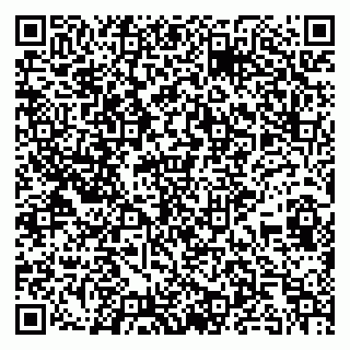 vCard 79295013303