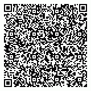 vCard 79295013377