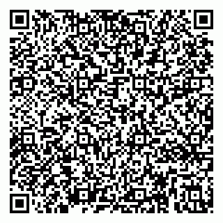 vCard 79295013418