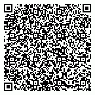vCard 79295013441