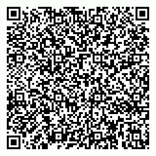 vCard 79295013453