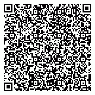 vCard 79295013604