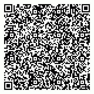 vCard 79295013713