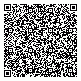 vCard 79295013733