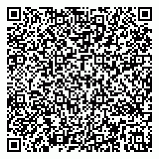 vCard 79295013979