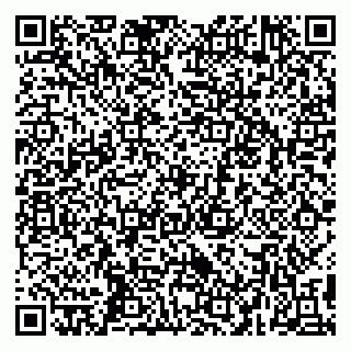 vCard 79295014013