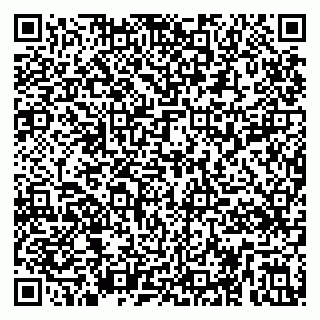 vCard 79295014331