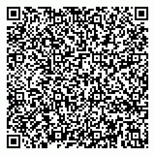 vCard 79295014402