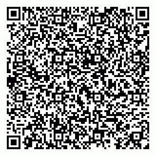 vCard 79295014733