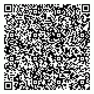 vCard 79295015294