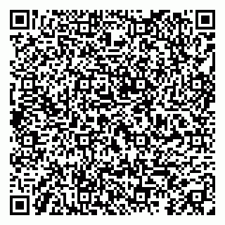 vCard 79295015704