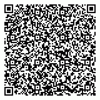 vCard 79295016331