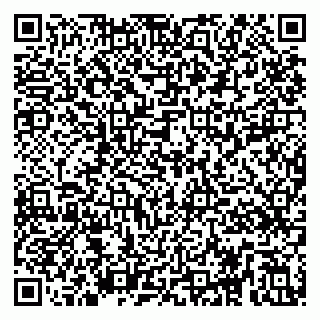 vCard 79295017004