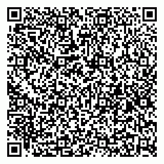 vCard 79295017141