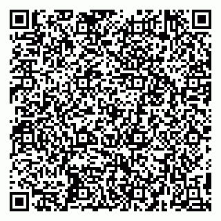 vCard 79295017293