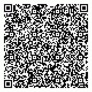vCard 79295017294
